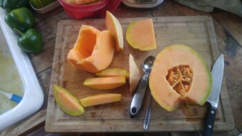 Sociopathic Cantaloupe Goat Milk Lotion - Image 2