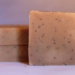 Apricot Goat Milk Soap